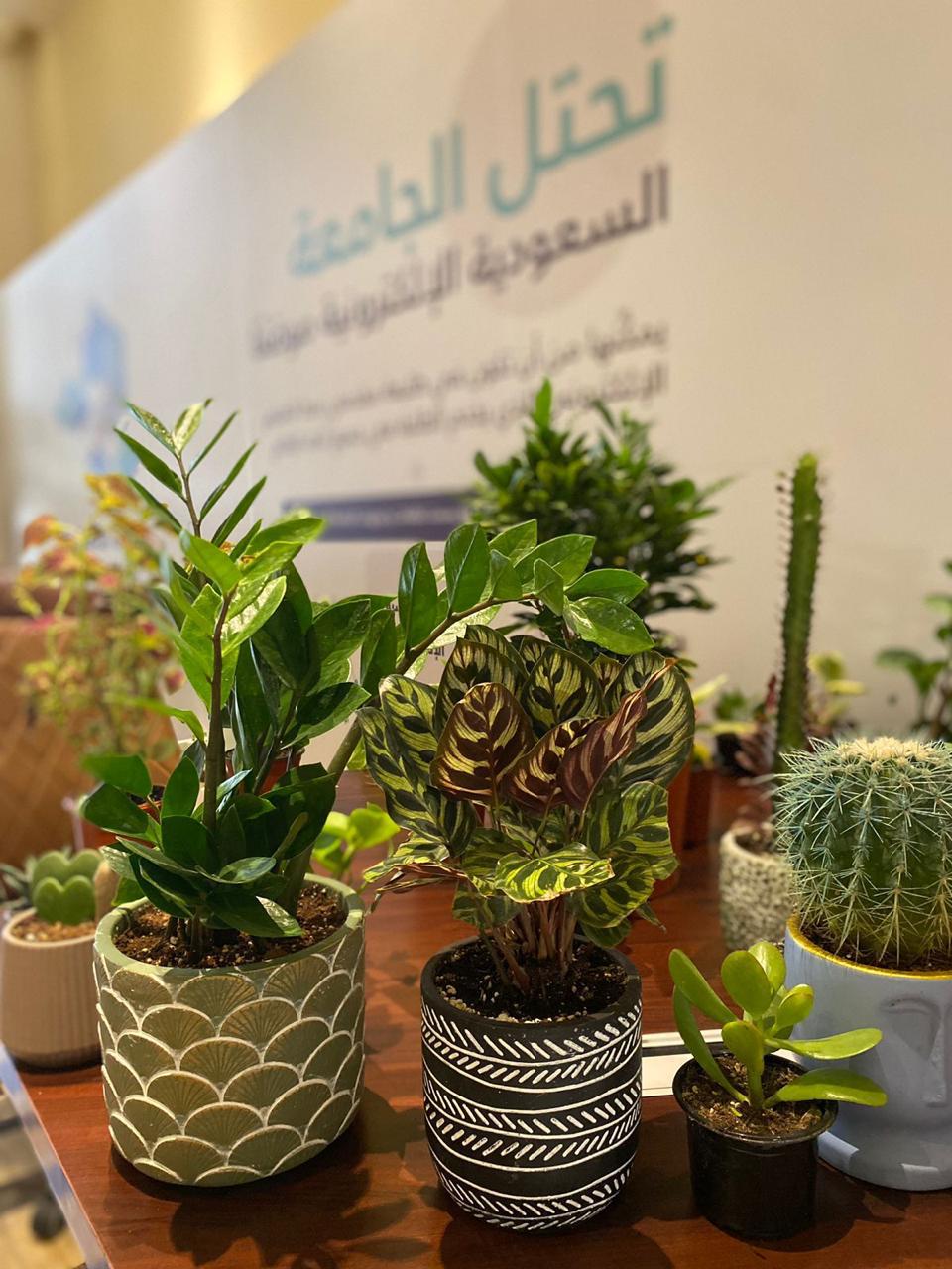 Saudi Electronic University campus