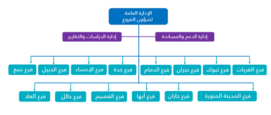 الهيكل التنظيمي لشؤون الفروع